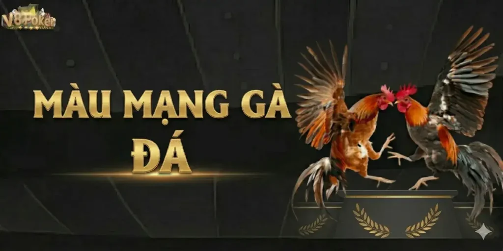Kinh Nghiệm Xem Màu Mạng Gà Đá Chuẩn Cao Thủ 5 Kinh Nghiệm Xem Màu Mạng Gà Đá Chuẩn Cao Thủ