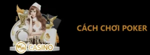 Cách chơi poker cho người mới
