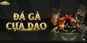 Kinh Nghiệm Cá Cược Đá Gà Cựa Dao Từ Cao Thủ