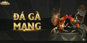 Kinh Nghiệm Cá Cược Đá Gà Mạng Hiệu Quả Nhất