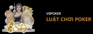 Luật Poker Cơ Bản Và Những Quy Tắc Quan Trọng Cần Biết