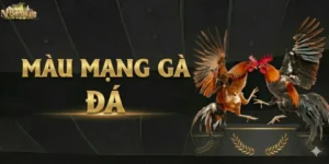 Kinh Nghiệm Xem Màu Mạng Gà Đá Chuẩn Cao Thủ